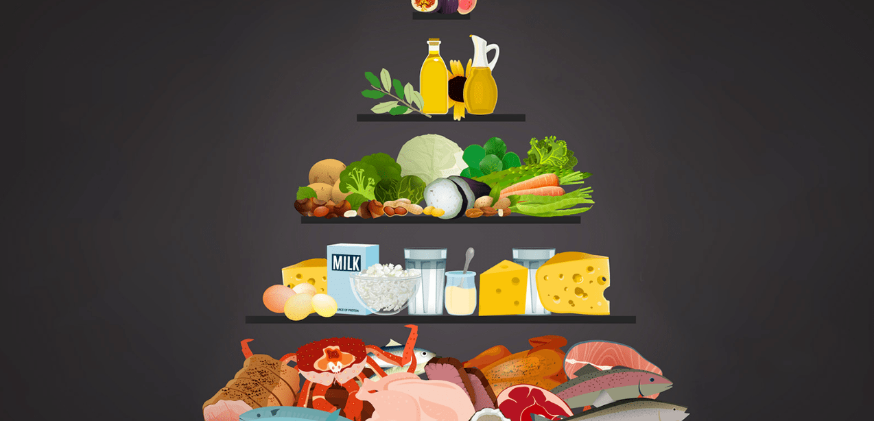 Proteina Dieta